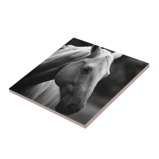 Carreau Cheval blanc noir (Côté)