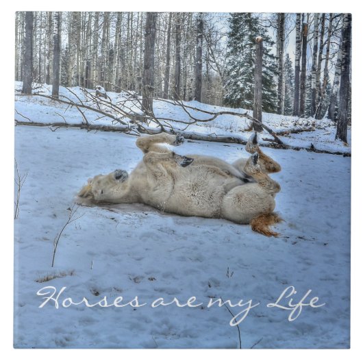 Carreau Cheval blanc rouler dans la neige hivernale (Devant)