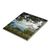 Carreau Cheval Blue Ridge (Côté)