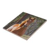 Carreau Cheval Brown au soleil (Côté)