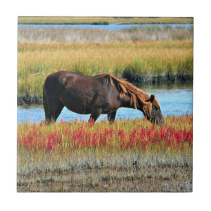 Carreau Cheval brun paissant près d'un pré aquatique