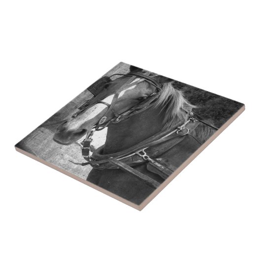 Carreau Cheval Buggy à la poste Hitching (Côté)