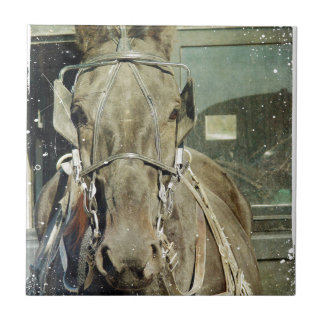 Carreau Cheval Buggy Grunge Amish