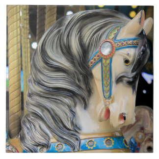 Carreau Cheval carousal 1