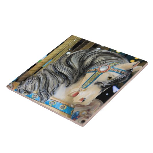 Carreau Cheval carousal 1 (Côté)