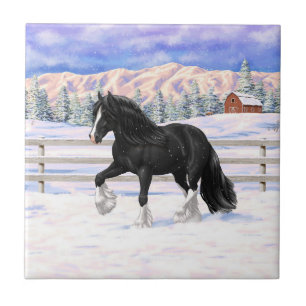 Carreau Cheval d'attelage noir et blanc de la bannière Tzi