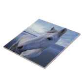 Carreau Cheval de Camargue (Côté)
