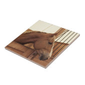 Carreau Cheval de châtaignes avec lame en décrochage (Côté)