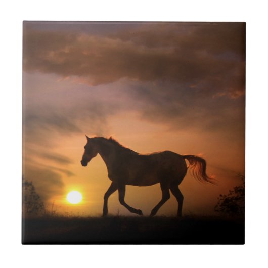 Carreau Cheval de course dans Sunrise Art Tile (Devant)