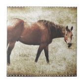 Carreau Cheval de la baie (Devant)