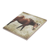 Carreau Cheval de la baie (Côté)