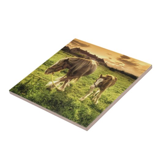 Carreau Cheval de mère et de poulain (Côté)