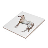 Carreau Cheval de Nez Perce (Côté)