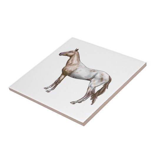 Carreau Cheval de Nez Perce (Côté)