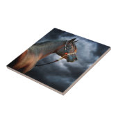 Carreau Cheval de nuit (Côté)