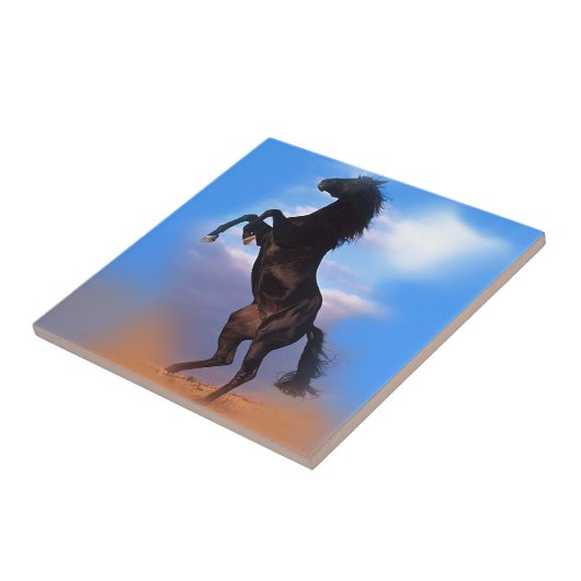 Carreau Cheval d'élevage (Côté)