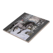 Carreau Cheval des Voiles d'hiver 2024 (Côté)