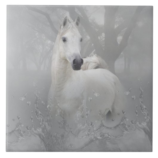 Carreau Cheval d'imaginaire (Devant)