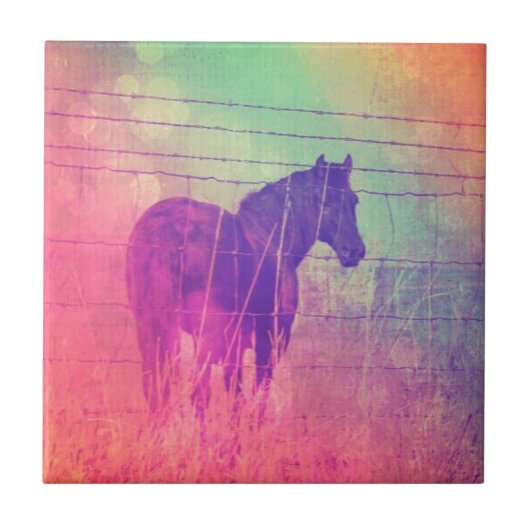 Carreau Cheval Dreams (Devant)