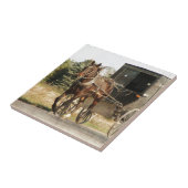 Carreau Cheval et boguet amish (Côté)