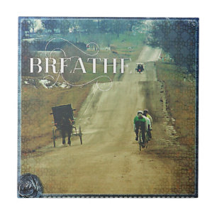 Carreau Cheval et Buggy et Vélos