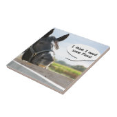 Carreau Cheval et Floss (Côté)