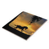 Carreau Cheval et Sunset Sud-Ouest Beau (Côté)