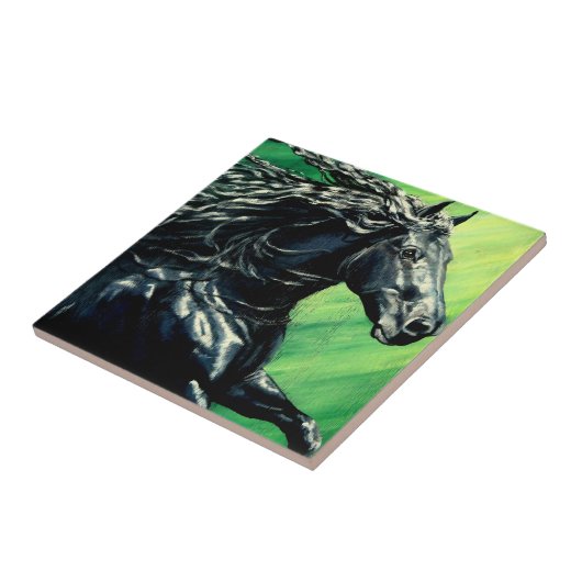 Carreau Cheval frison noir d'étalon (Côté)