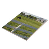 Carreau Cheval frôlant à la ferme (Côté)