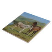 Carreau Cheval gris clair dans un champ (animal de ferme é (Côté)