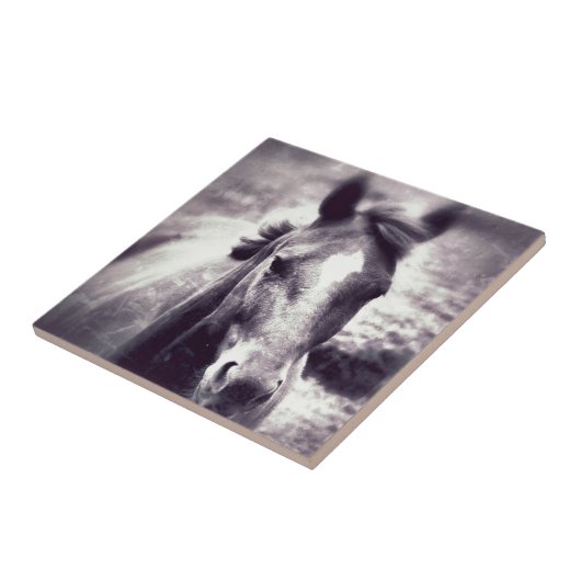 Carreau Cheval Grunge (Côté)