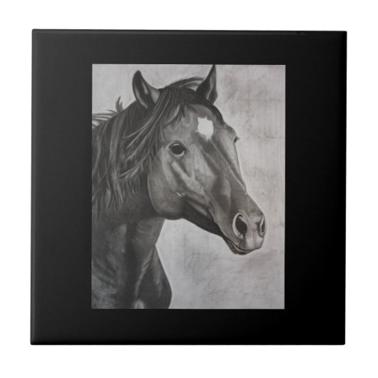Carreau Cheval Main Drake Art (Devant)