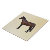 Carreau Cheval Morgan de Profil (Côté)