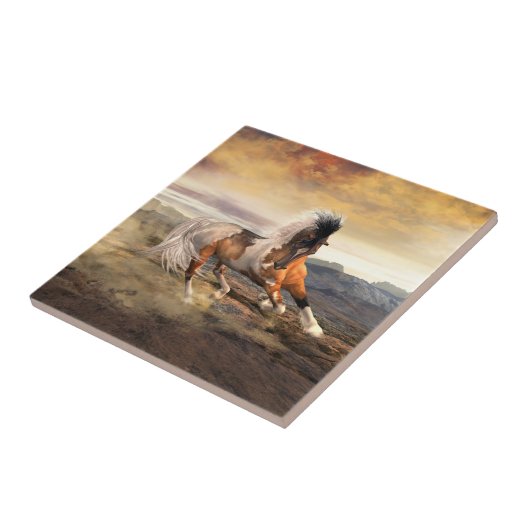 Carreau Cheval Mustang du désert peint (Côté)