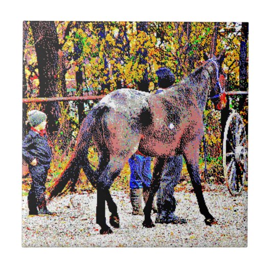 Carreau Cheval New Amish 8 bits (Devant)