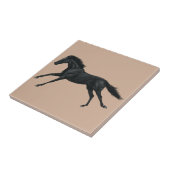 Carreau Cheval noir (Côté)