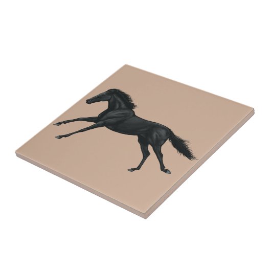 Carreau Cheval noir (Côté)