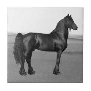 Carreau Cheval noir frison fier d'étalon