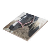 Carreau Cheval Paint Pinto (Côté)