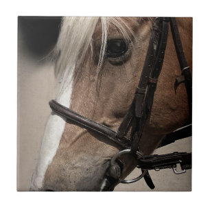 Carreau Cheval Palomino en Bridle