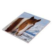 Carreau Cheval Pinto Mount Moran en hiver (Côté)