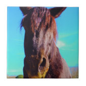 Carreau Cheval pourpre avec Bouche verte (Devant)