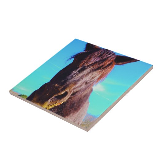 Carreau Cheval pourpre avec Bouche verte (Côté)