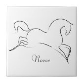 Carreau Cheval sauvage Thunder_Cove (Devant)