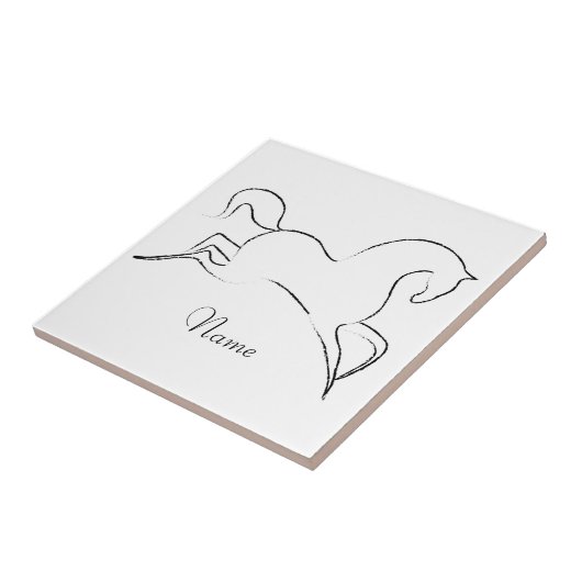 Carreau Cheval sauvage Thunder_Cove (Côté)