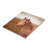 Carreau cheval sauvage vintage (Côté)