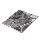 Carreau Cheval Show Grunge noir et blanc (Côté)