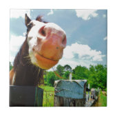 Carreau Cheval souriant (Devant)