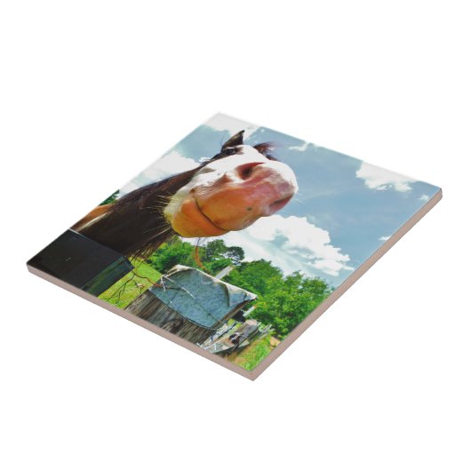 Carreau Cheval souriant (Côté)