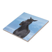 Carreau Cheval souriant (Côté)